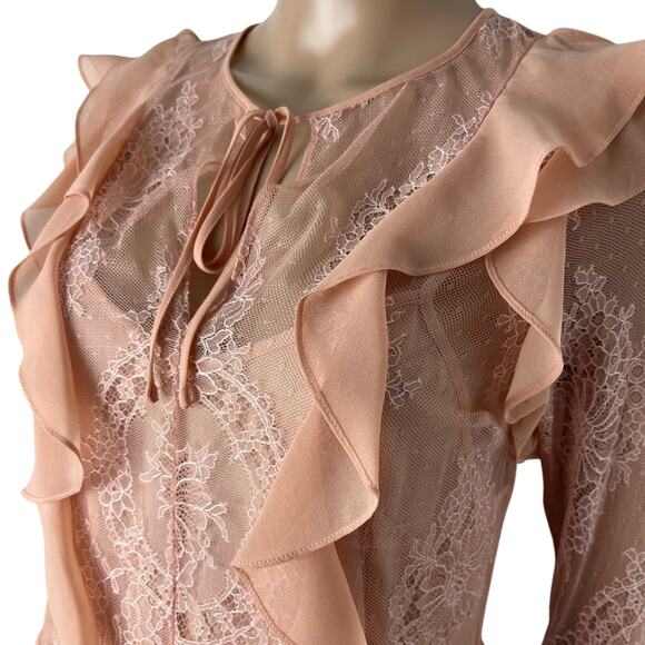 Delfi Collective X Anthropologie Luna Sheer Ruffle Lace Sheath Dress - Picture 7 of 13